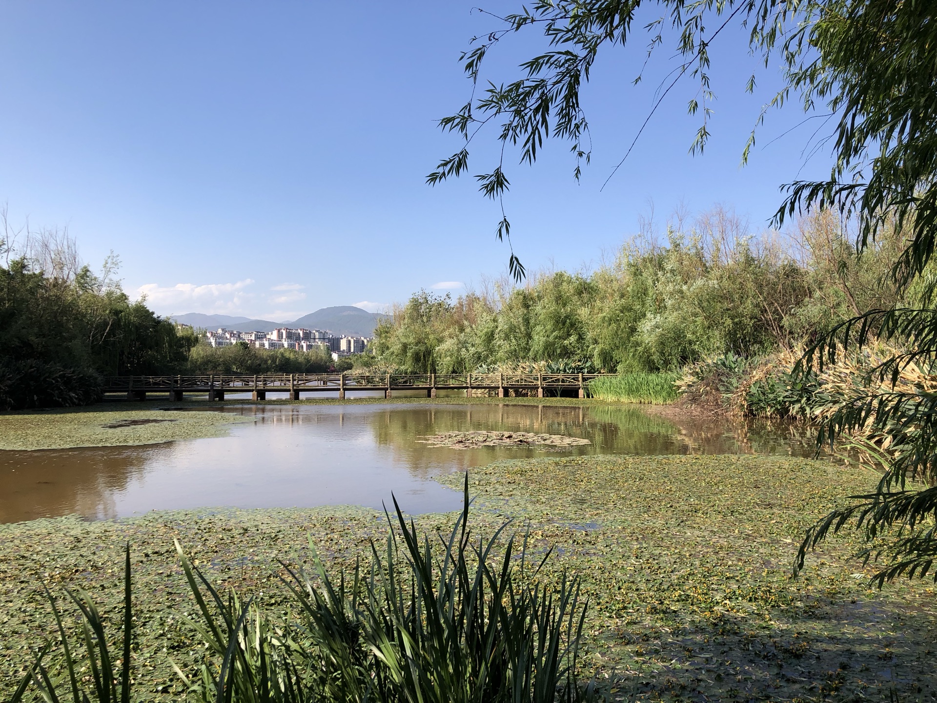西昌邛海国家湿地公园好玩吗,西昌邛海国家湿地公园景点怎么样_点评_