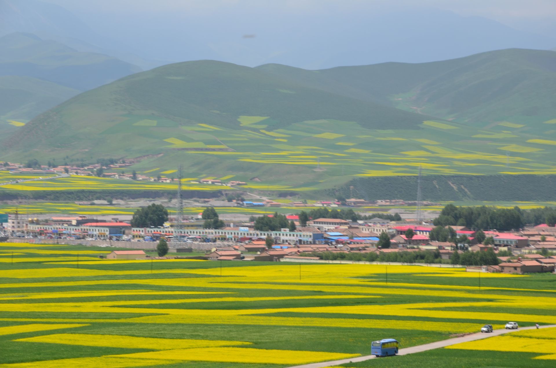 2026门源百里油菜花海游玩攻略,门源县油菜花,每年7月盛开,...【去哪儿攻略】