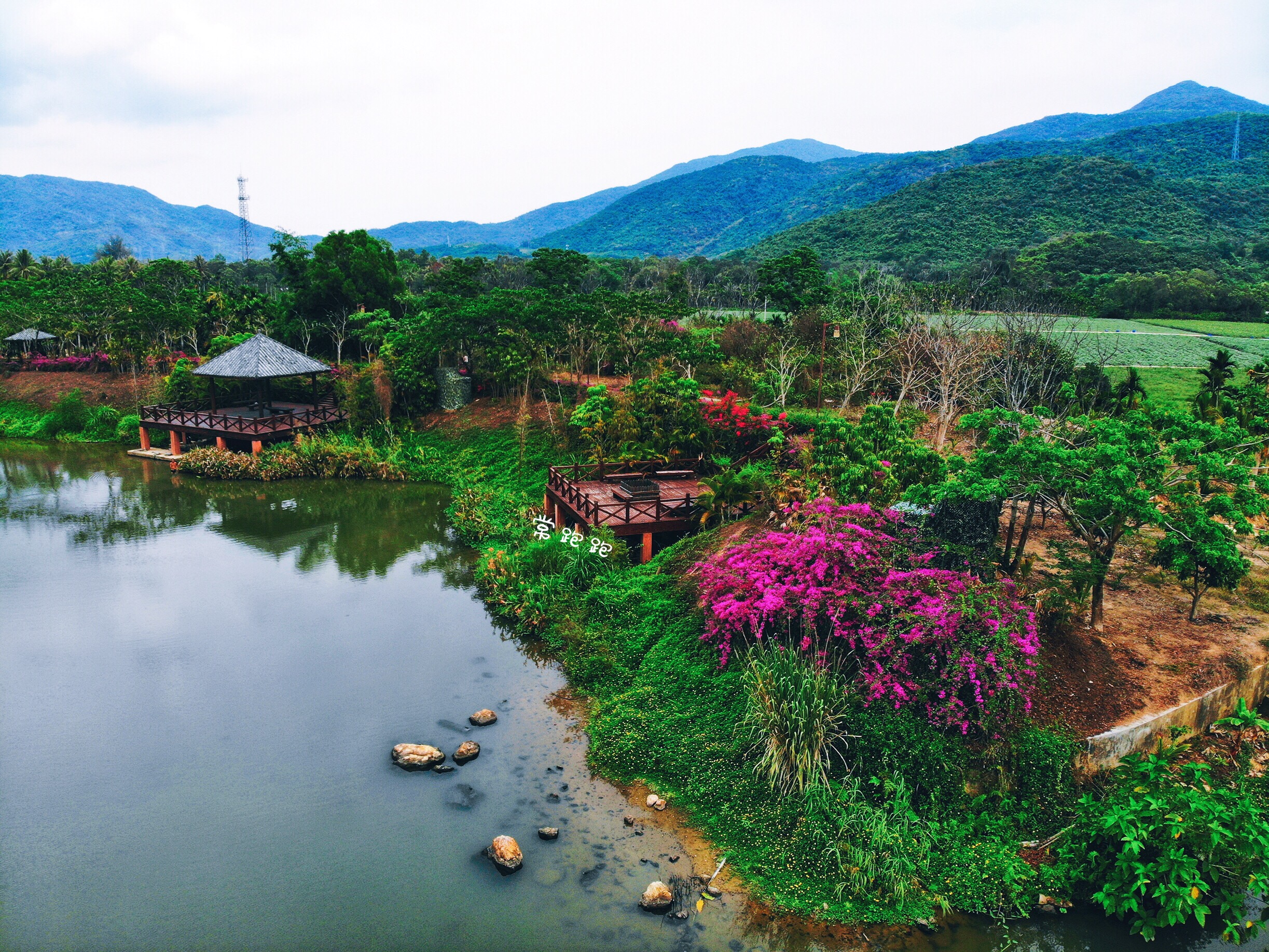 走进中廖村 感受黎族村寨风情 探秘不一样的三亚