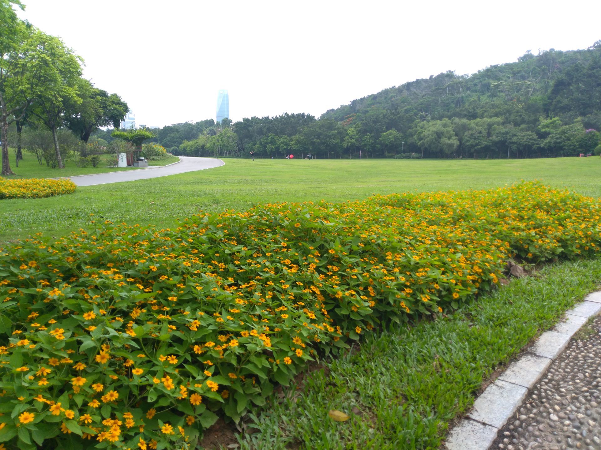 莲花山公园