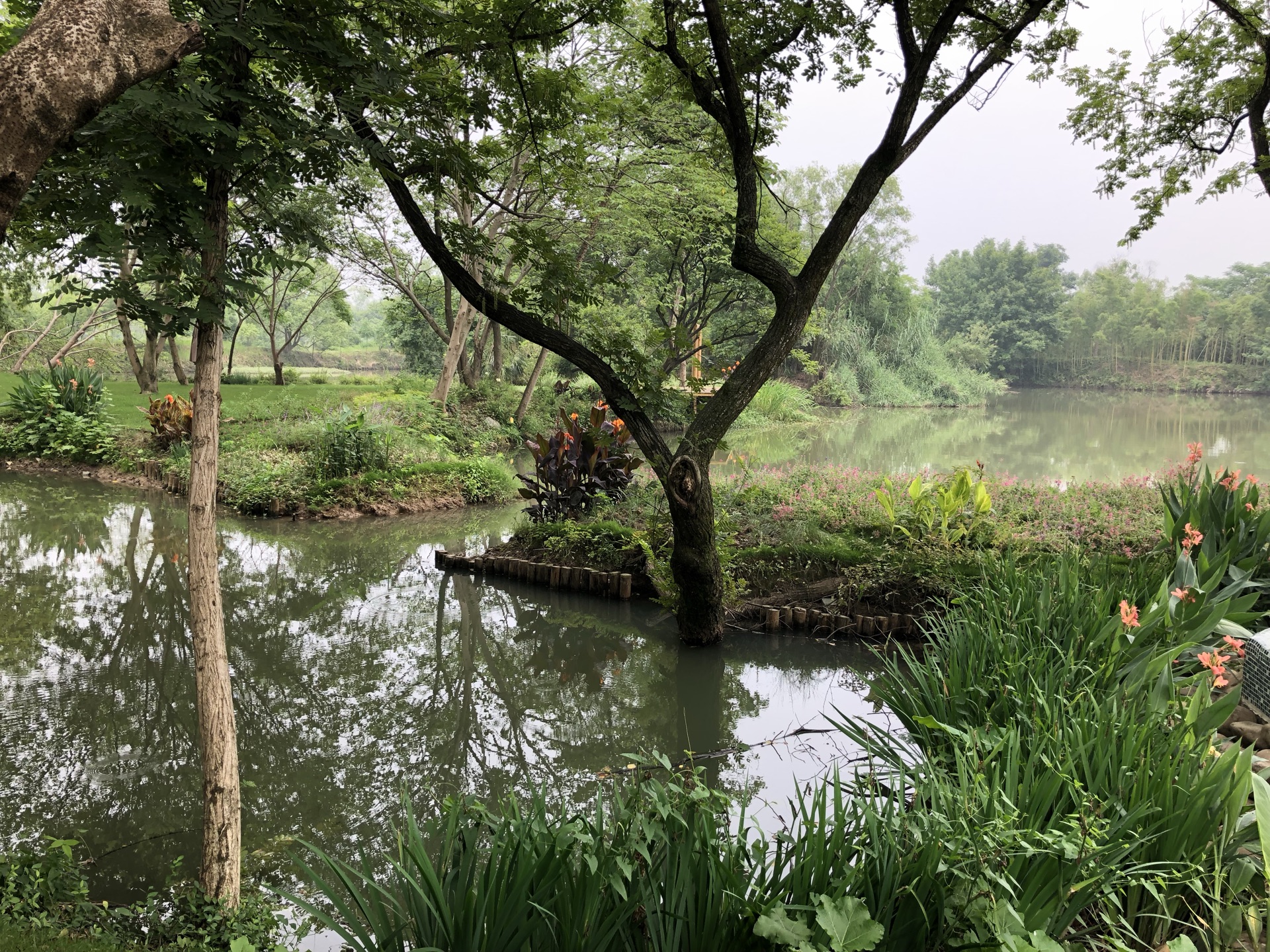 杭州西溪湿地怎么玩，杭州西溪湿地怎么玩比较好，杭州西溪湿地游玩攻略-旅游景点盘点-蚂蜂窝旅游指南