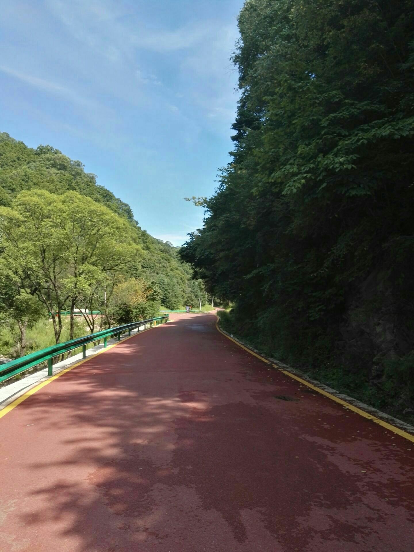 关山森林公园