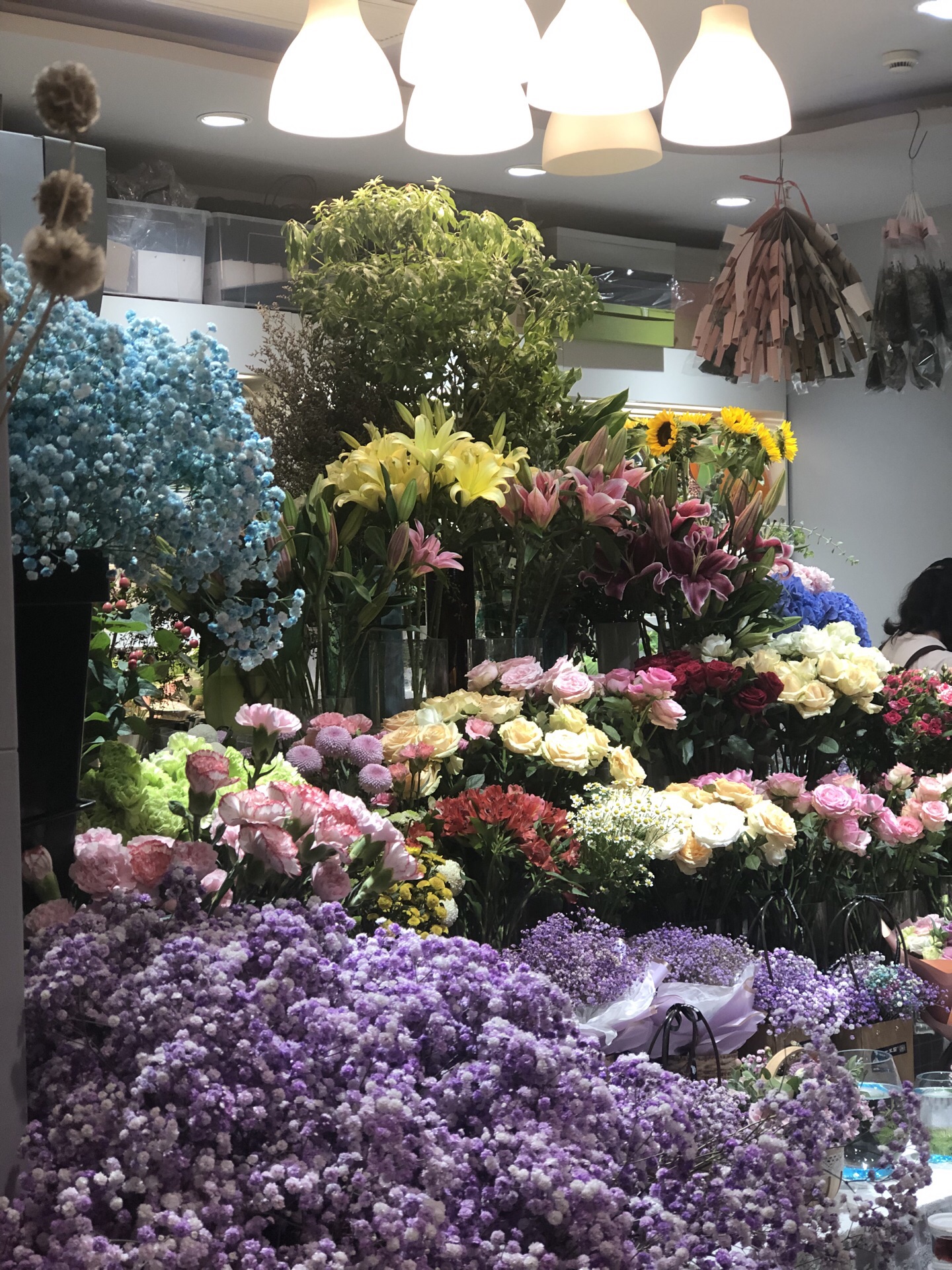 一水间(万科海上传奇店)