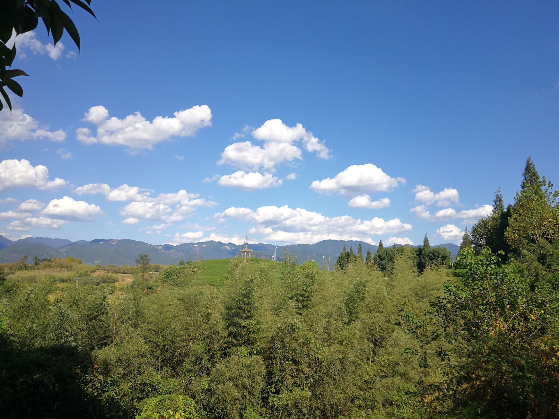 松陽大木山騎行茶園景區