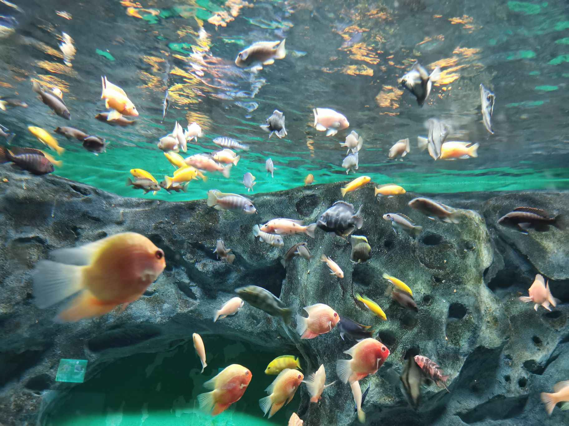 常州金鹰海洋世界