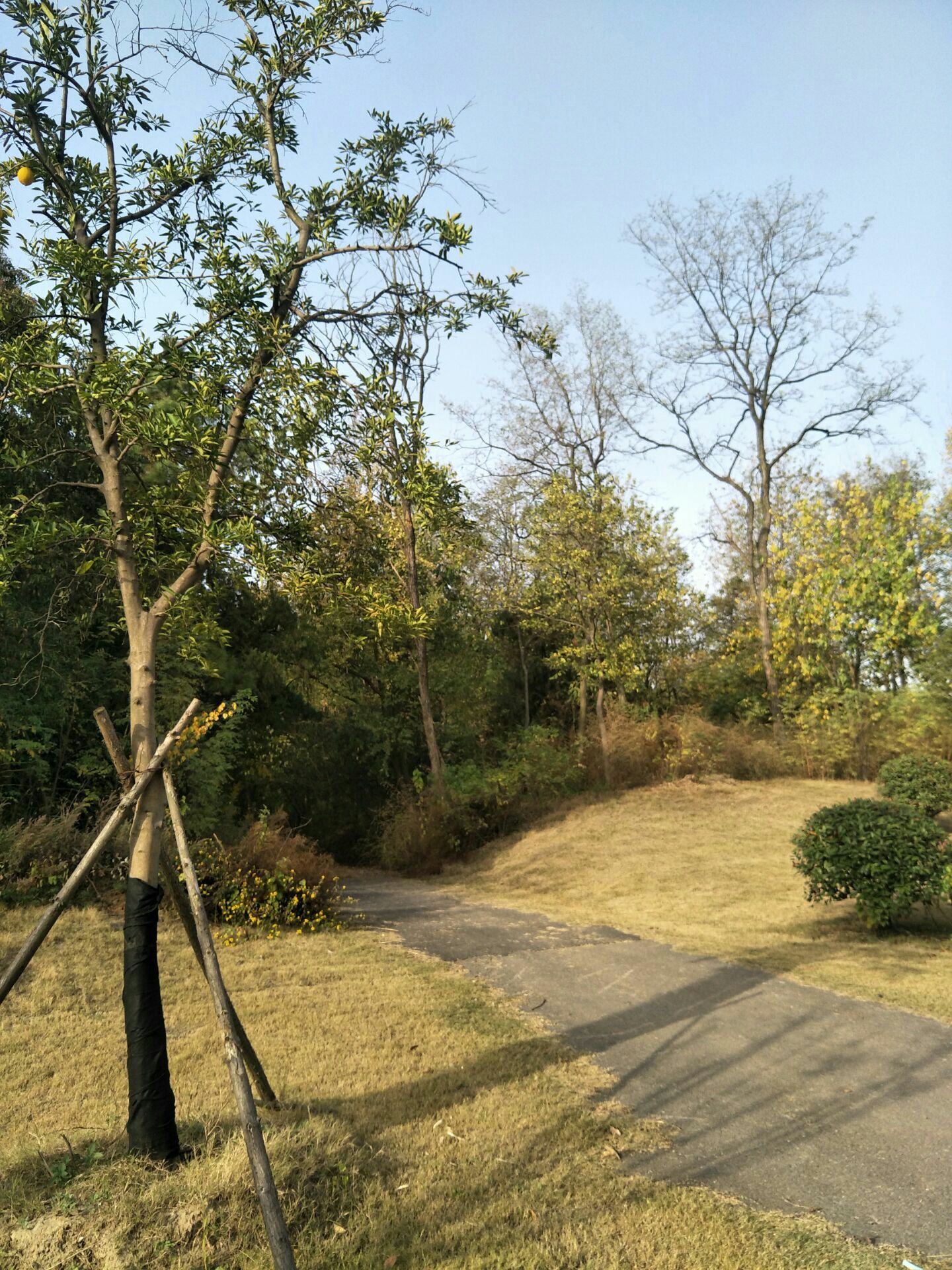 扬州西郊森林公园