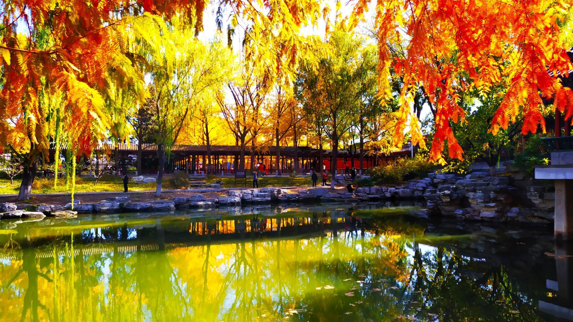 中山公园zhongshan park