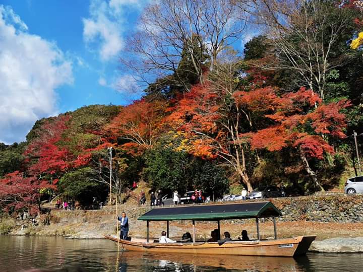 京都嵯峨野攻略,京都嵯峨野门票/游玩攻略/地址/图片/门票价格【携程