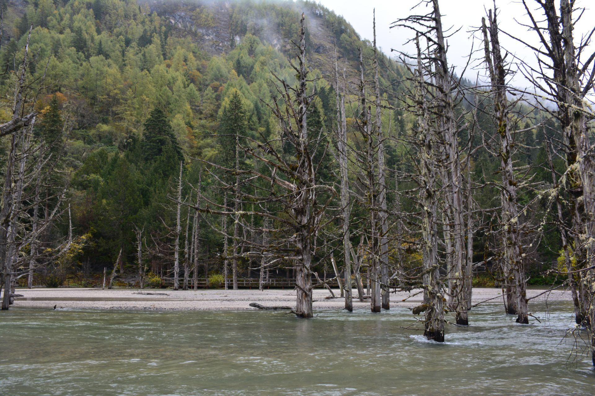 四姑娘山枯树滩好玩吗,四姑娘山枯树滩景点怎么样_点评_评价【携程