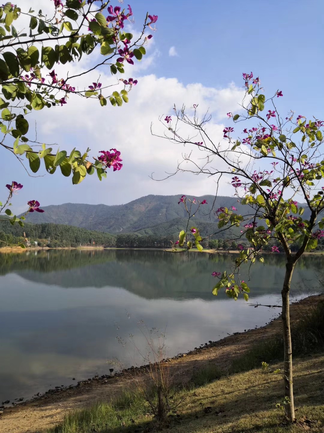 佛山澜石公园攻略,佛山澜石公园门票/游玩攻略/地址/图片/门票价格