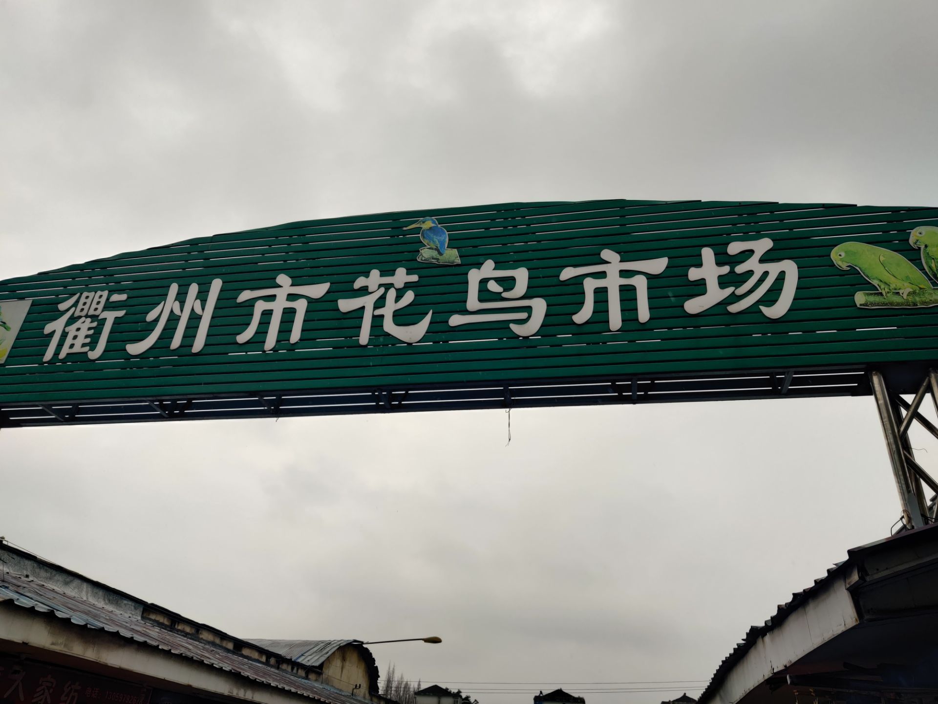 衢州衢州花鳥市場怎麼樣/如何去,衢州花鳥市場購物好不好_點評_評價