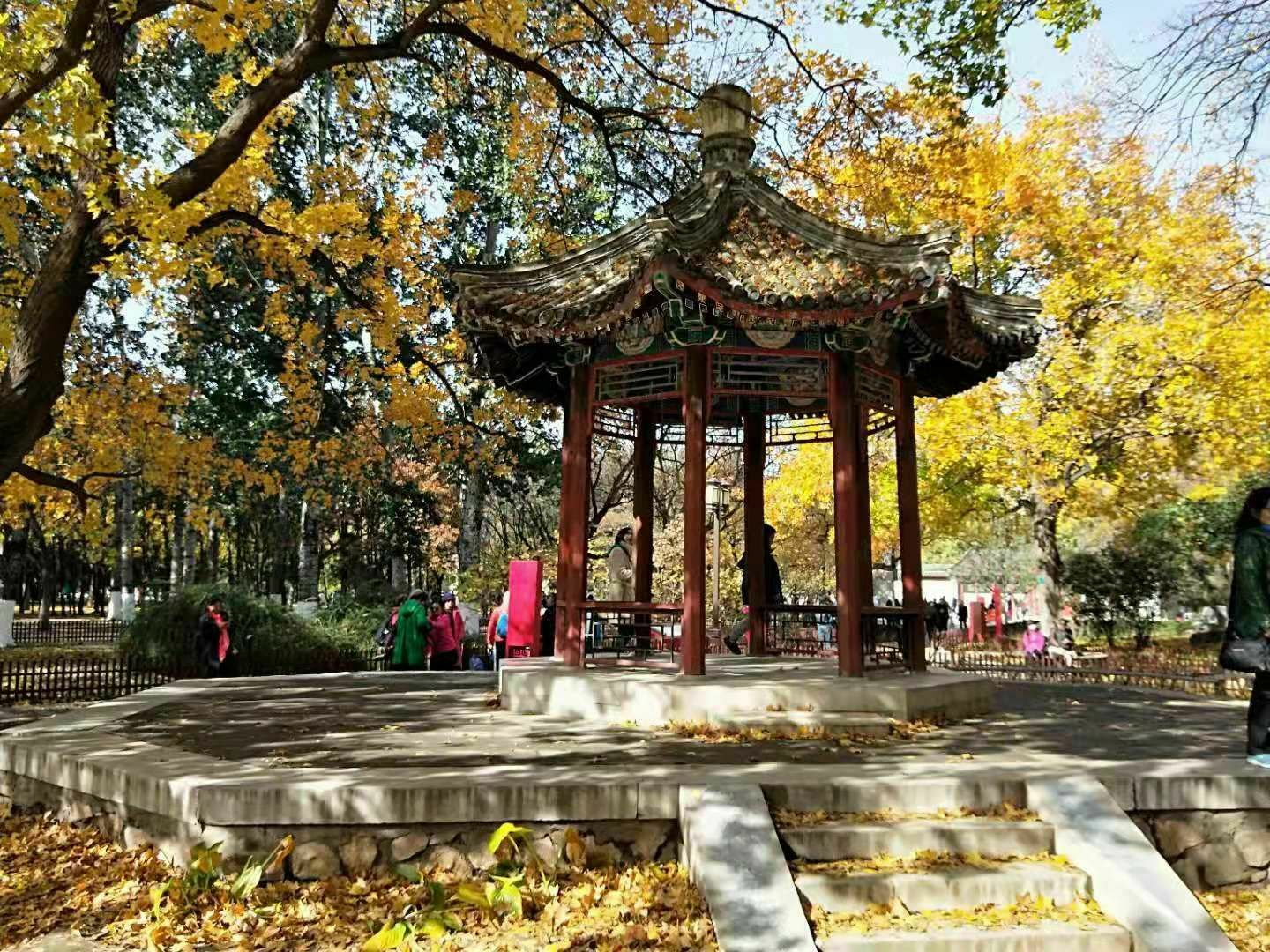 2023地坛游玩攻略,地坛公园是老 北京 人遛弯儿...【去哪儿攻略】