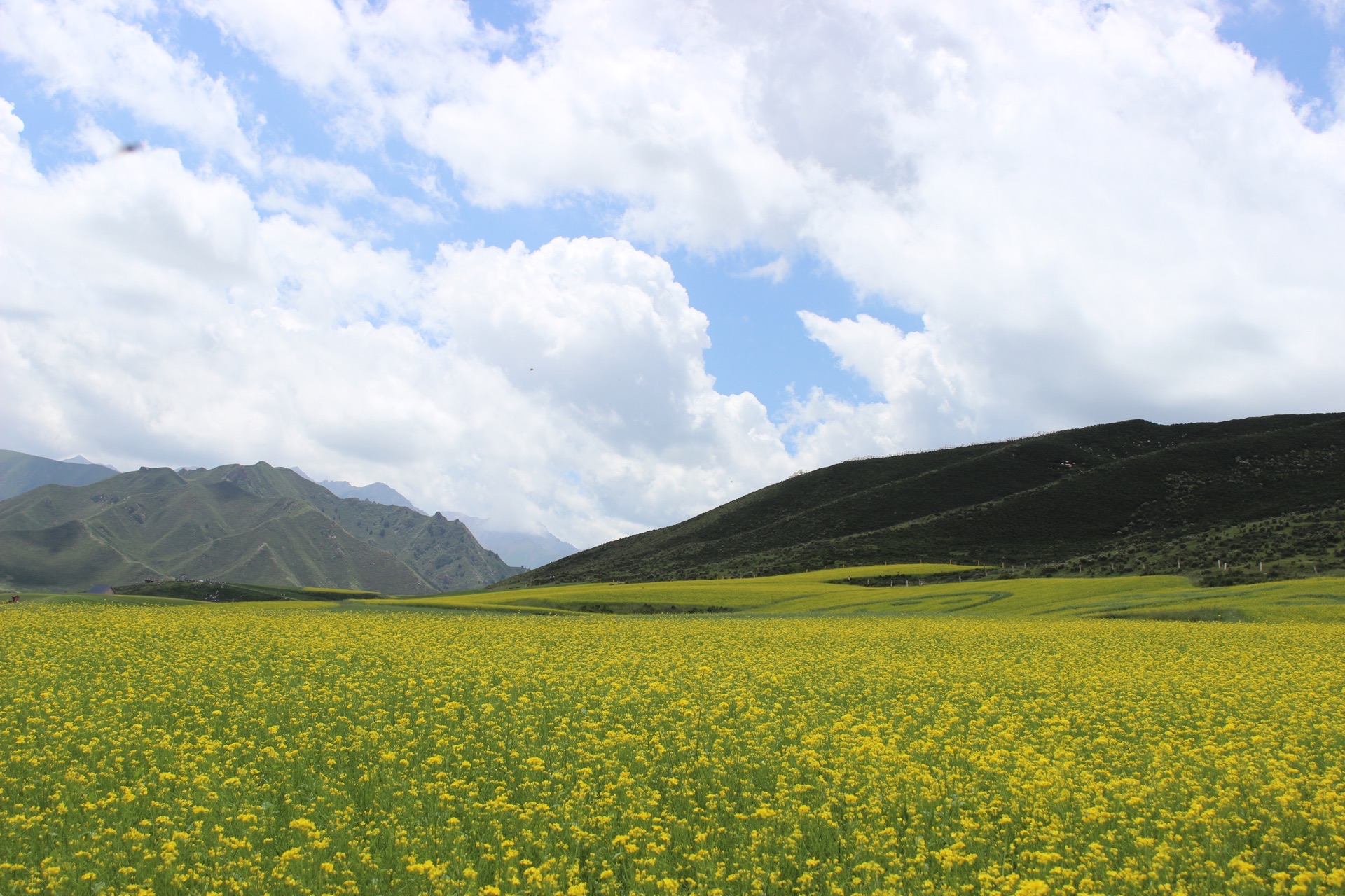 祁連祁連山風光旅遊景區好玩嗎,祁連祁連山風光旅遊景區景點怎麼樣