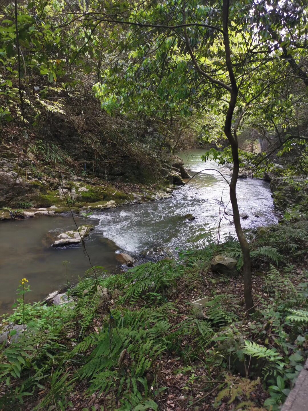 株洲仙人桥大峡谷好玩吗,株洲仙人桥大峡谷景点怎么样