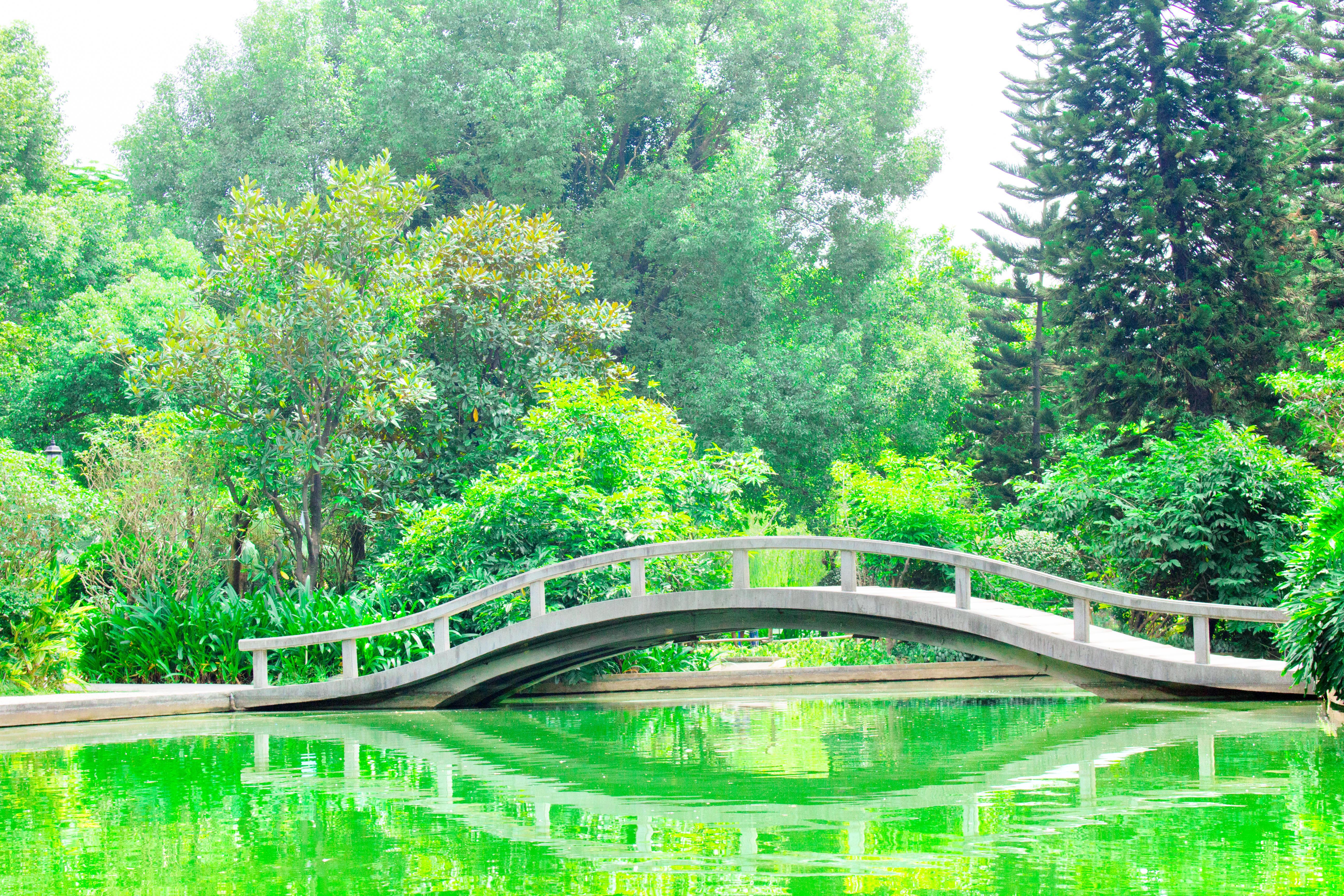 容桂狮山公园图片