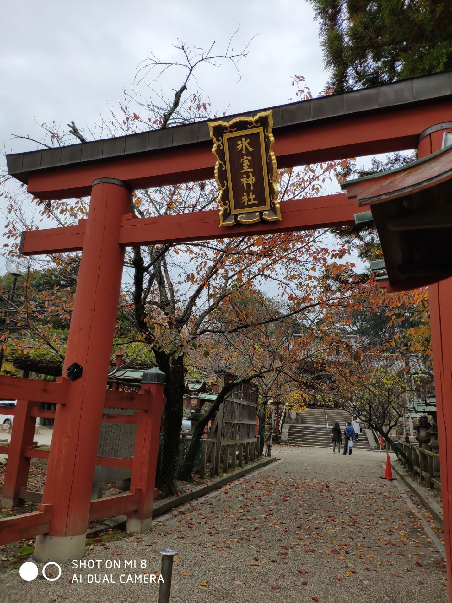 冰室神社图片