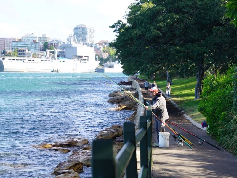 悉尼麦考利夫人座椅攻略-麦考利夫人座椅门票价格多少钱-团购票价预定