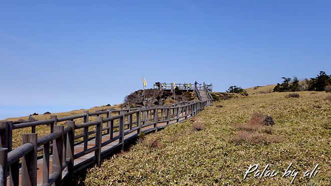 看了金三顺就一直想来汉拿山,因为在北京总爬香山一点没把汉拿山当