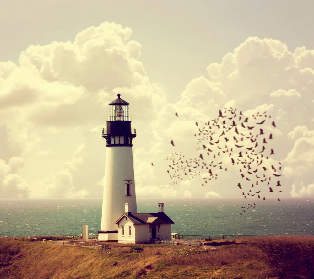 2022欧蓓莎动漫水世界玩乐攻略,good very good. 【去哪儿攻略】