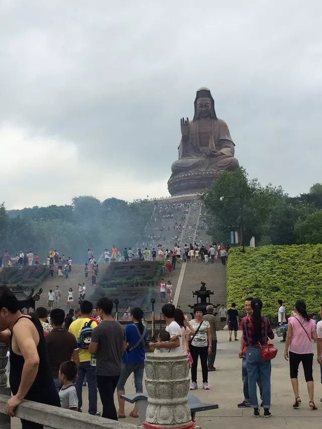 佛山人口最密集在哪里_佛山户籍人口统计图