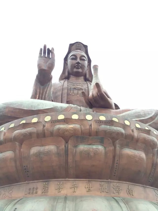 佛山人口最密集在哪里_佛山户籍人口统计图(2)