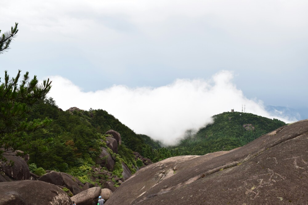 玉苍山森林公园