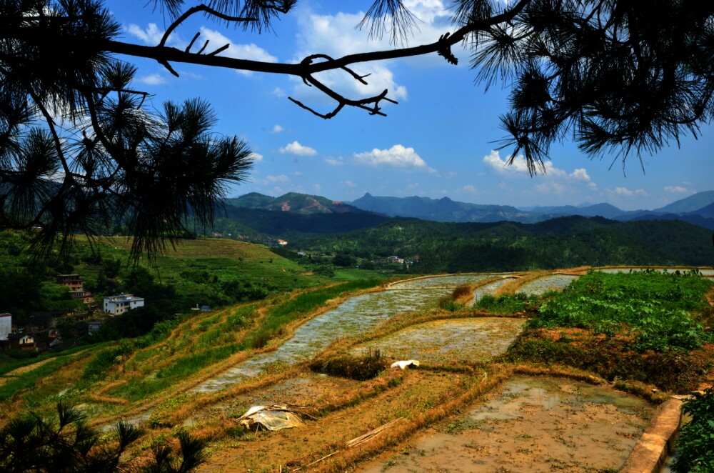 福州屏山公园_青屏山公园_屏山公园