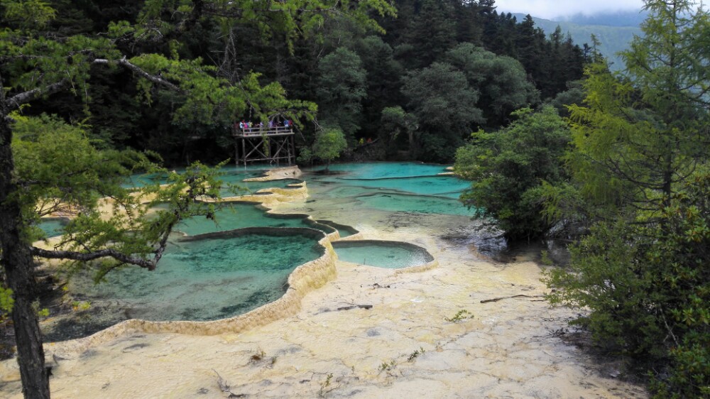 2019五彩池_旅遊攻略_門票_地址_遊記點評,九寨溝旅遊景點推薦 - 去