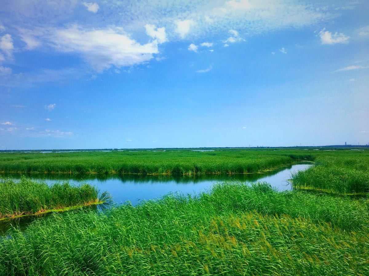 北碚龙凤溪湿地公园图片