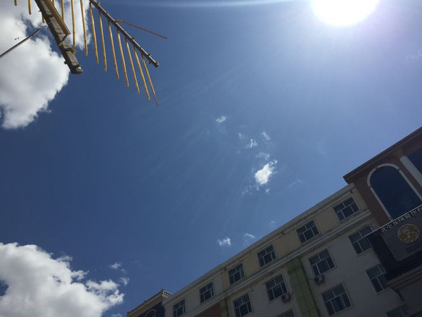 蓝天白云草原牛羊,一次完美的新疆吃肉之旅