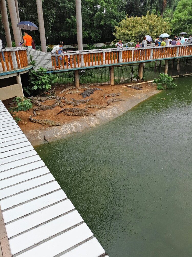 【攜程攻略】廣西南寧南寧動物園好玩嗎,廣西南寧動物園景點怎麼樣