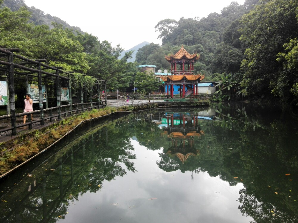 泉州桂山公园图片
