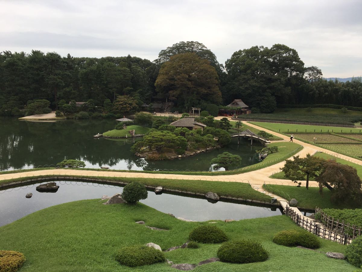 洛阳市冈山市图片