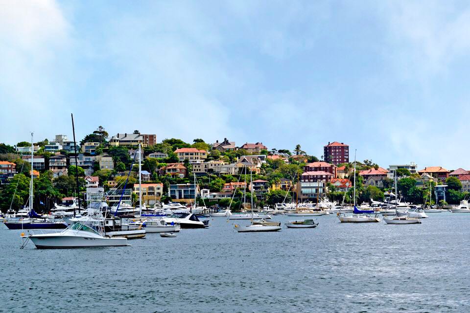 【携程攻略】悉尼玫瑰湾好玩吗,悉尼玫瑰湾景点怎么样_点评_评价