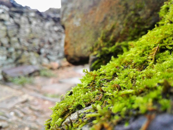 冰球突破跟着影视剧游株洲