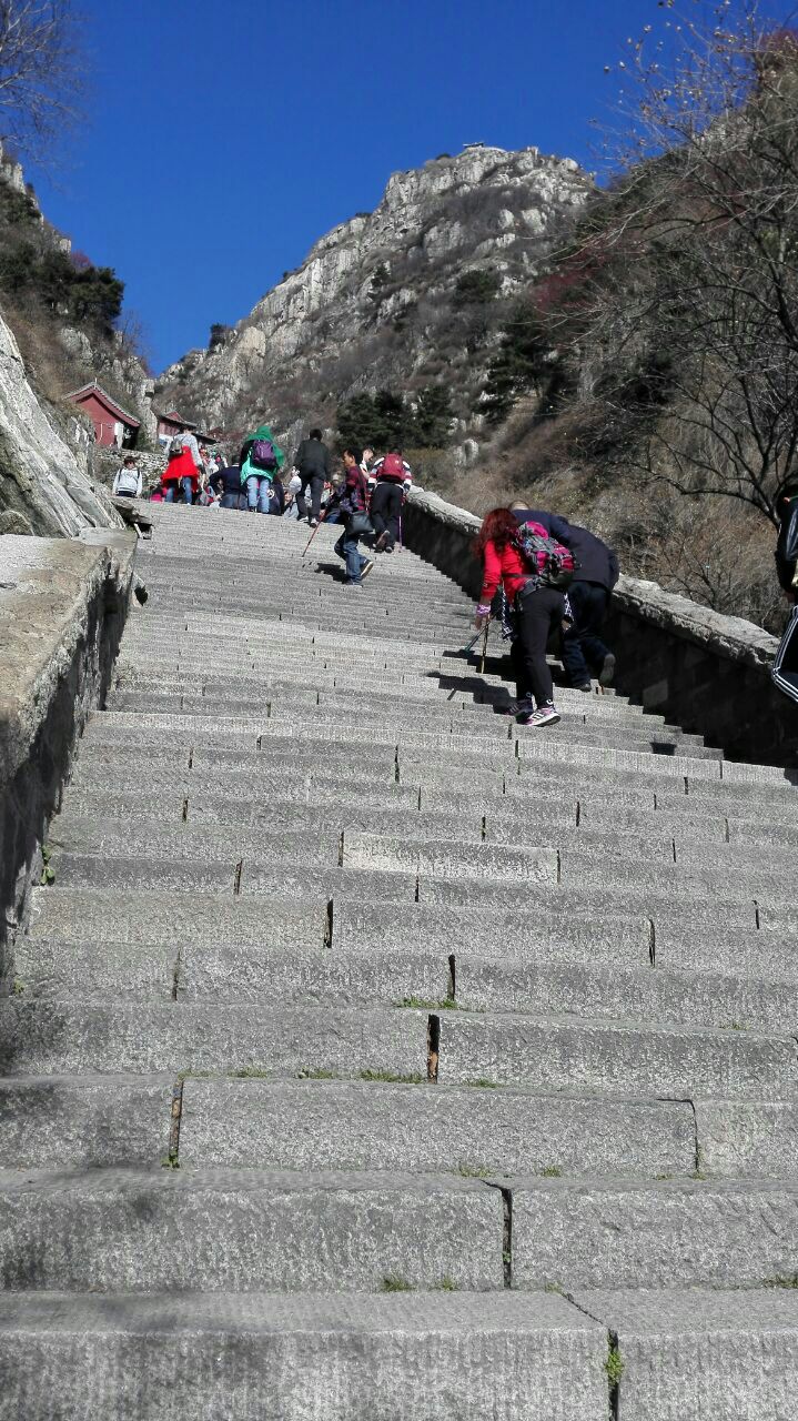 2019十八盤_旅遊攻略_門票_地址_遊記點評,泰山旅遊景點推薦 - 去哪兒