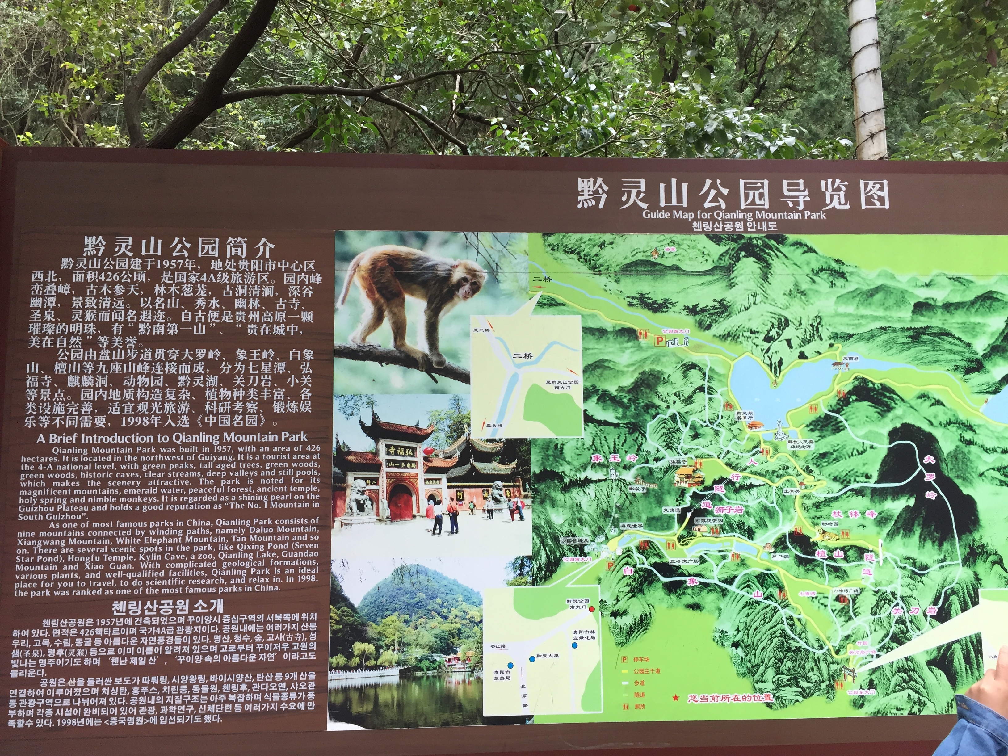 黔灵山公园游览示意图图片