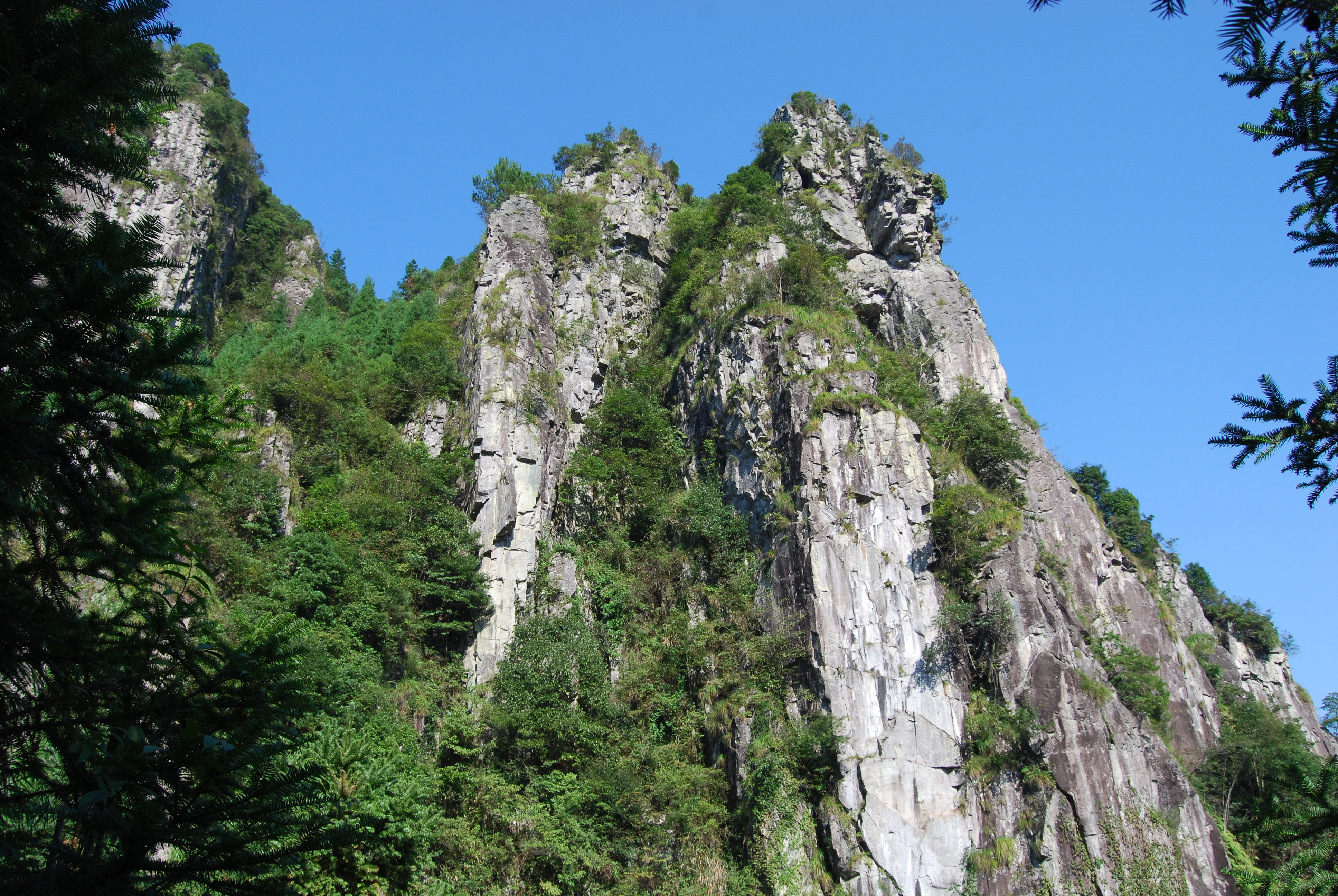 九峰山自然保护区图片