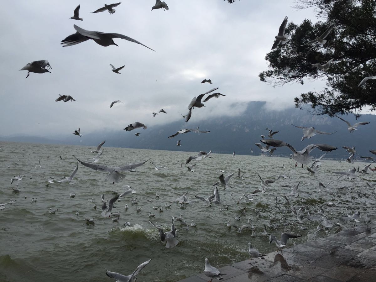 滇池旅游景点攻略图