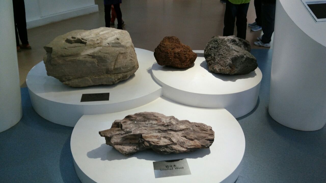 湛江火山博物馆好玩吗,湛江火山博物馆景点怎么样_点评_评价【携程