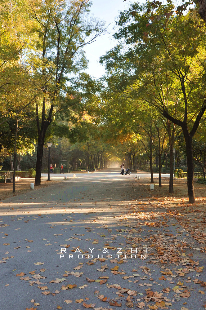 暴走西班牙,附购物贴士(马德里、巴塞罗那、瓦