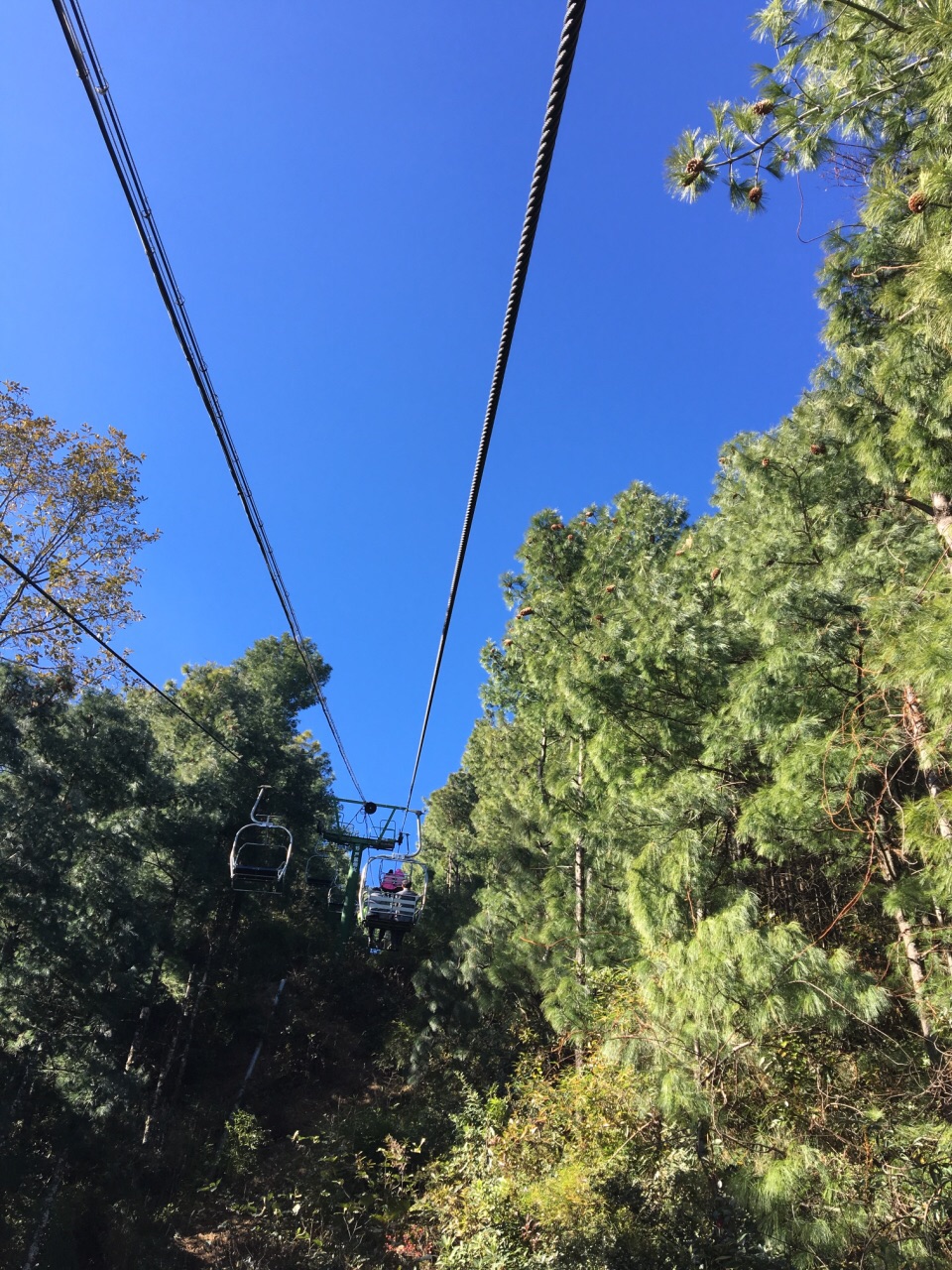 2019蒼山中和索道_旅遊攻略_門票_地址_遊記點評,大理旅遊景點推薦 - 