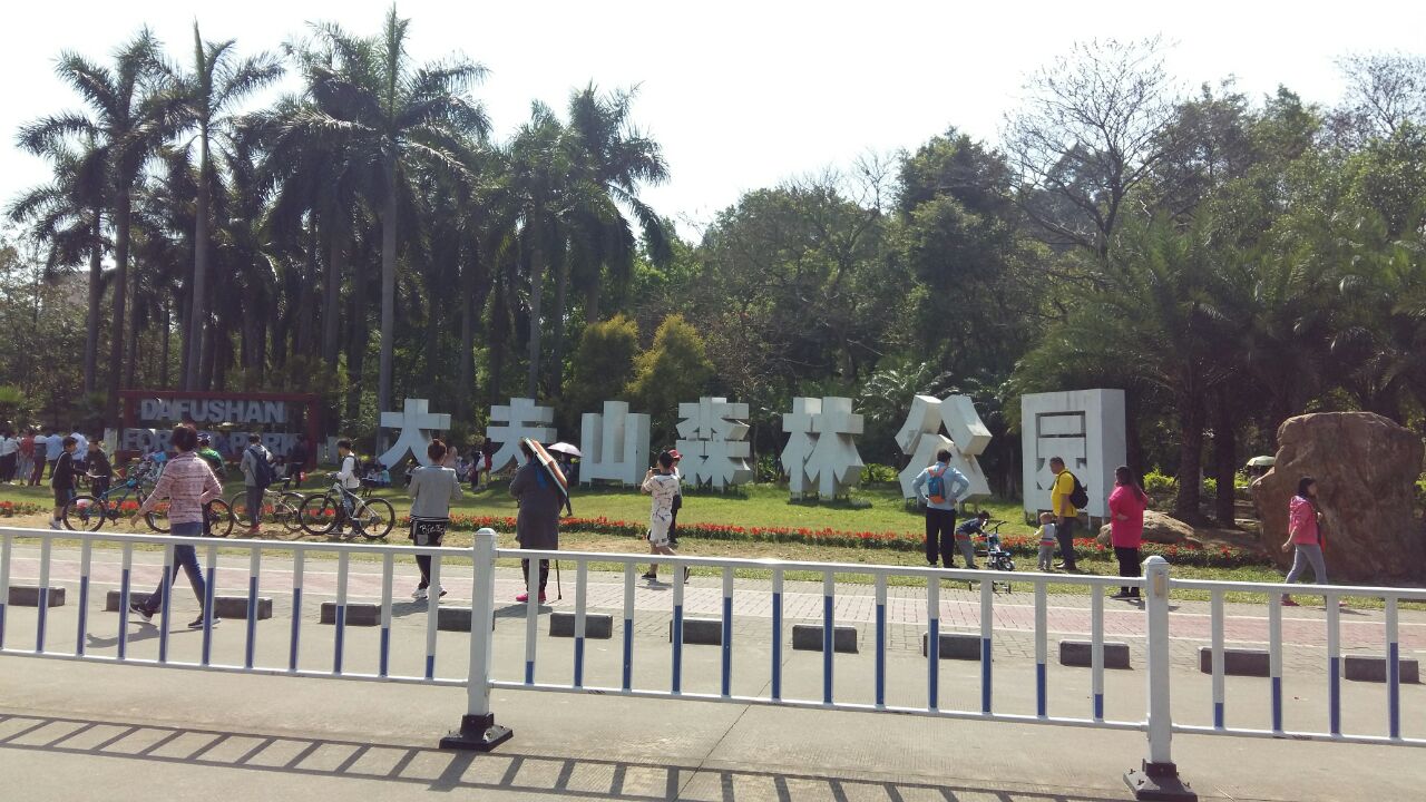 大夫山森林公园