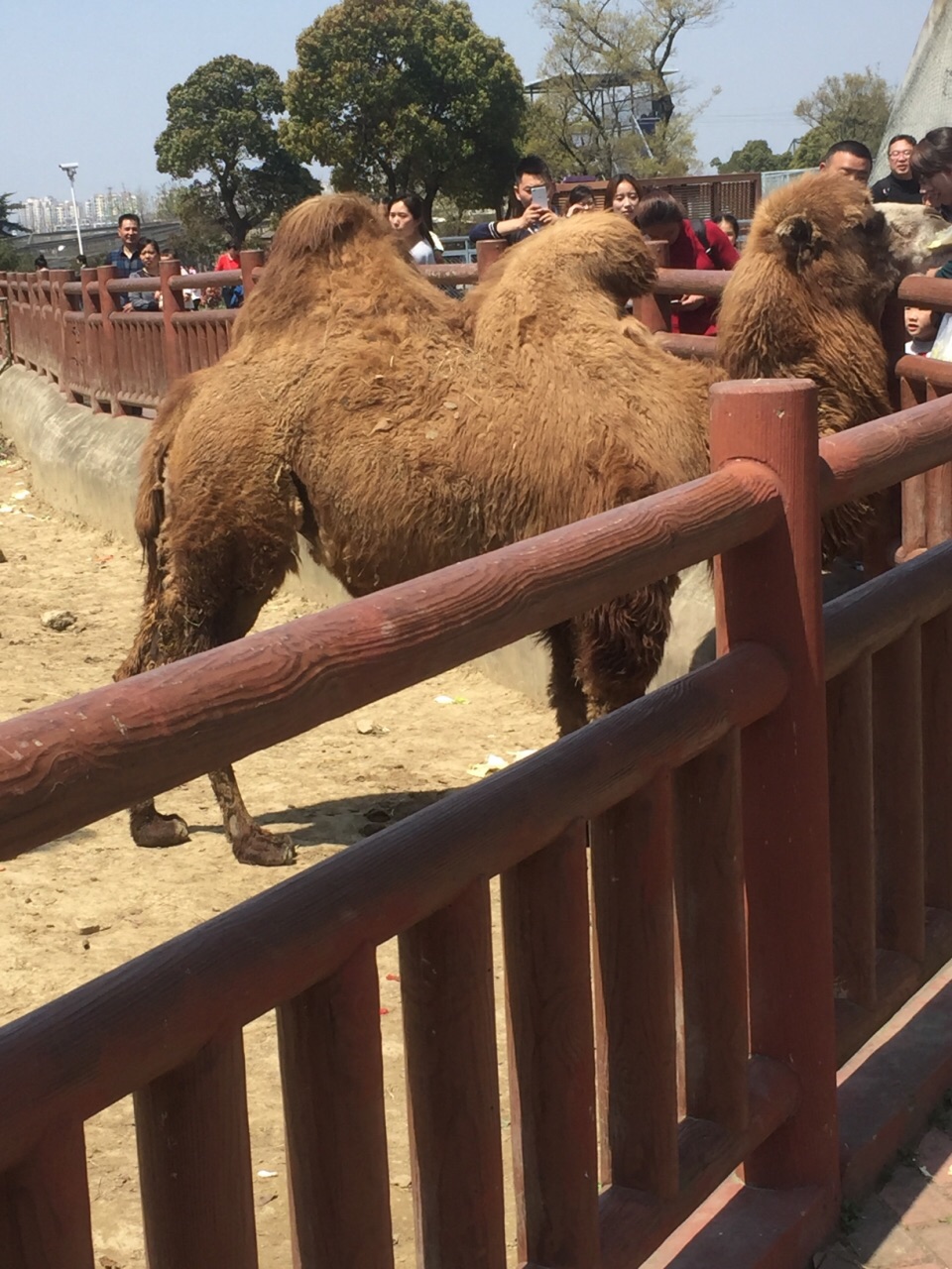 無錫動物園(太湖歡樂園)