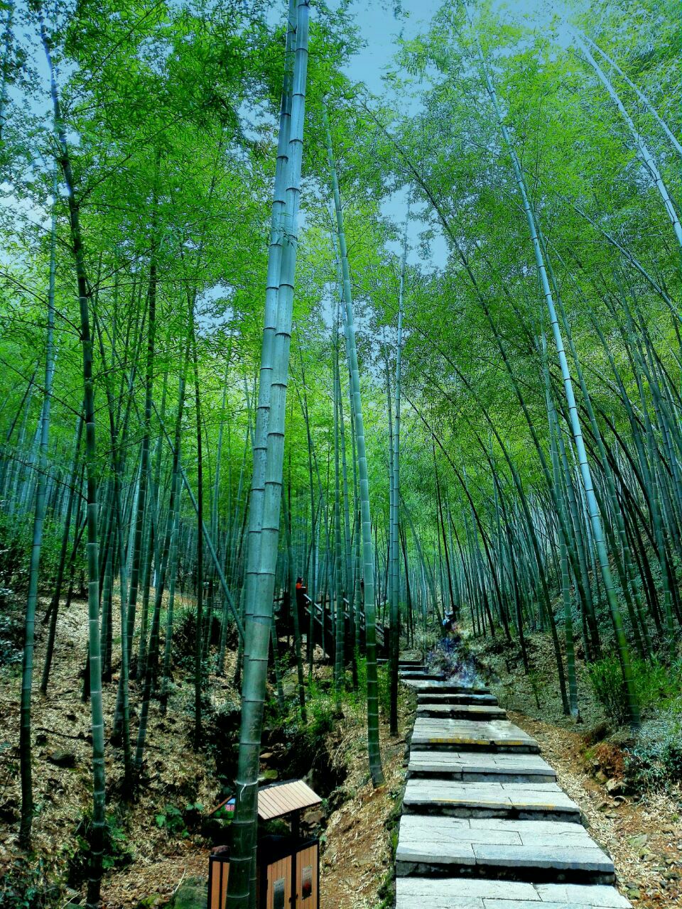 南山竹海旅遊景點攻略圖