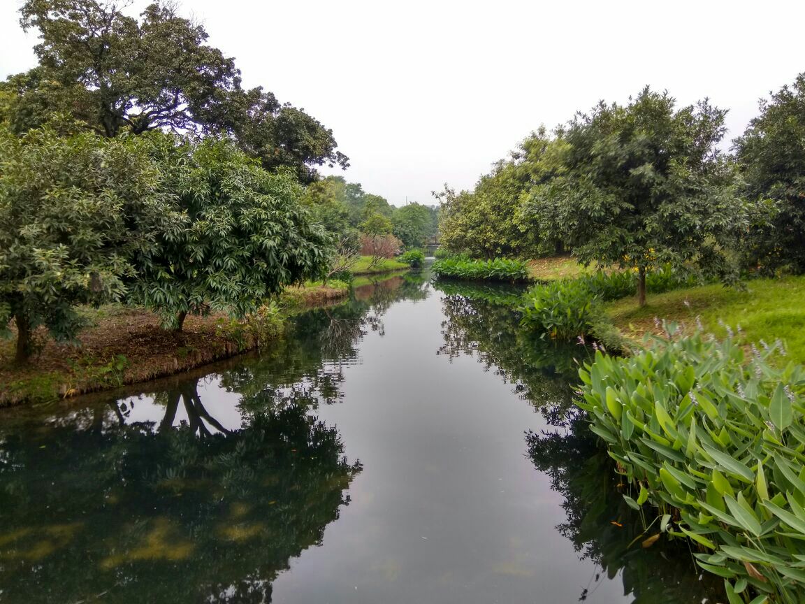 2019海珠溼地公園_旅遊攻略_門票_地址_遊記點評,廣州旅遊景點推薦