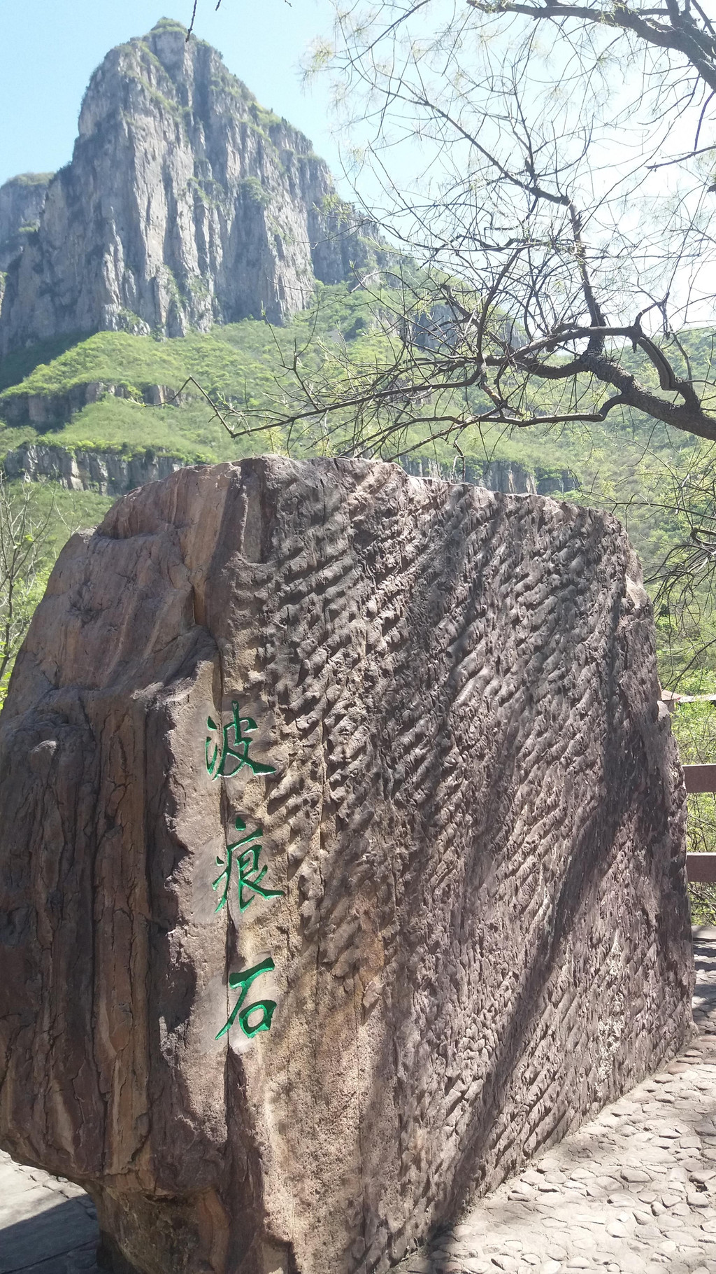 走进红石峡,见认波痕石,这可是天然形成的噢,不知经过几亿年呢.