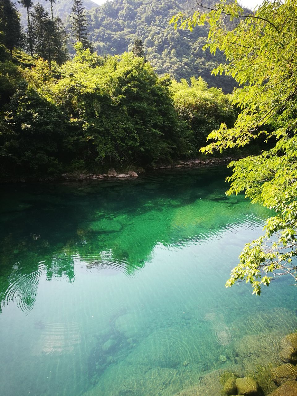 2019石臺牯牛降_旅遊攻略_門票_地址_遊記點評,池州旅遊景點推薦 - 去