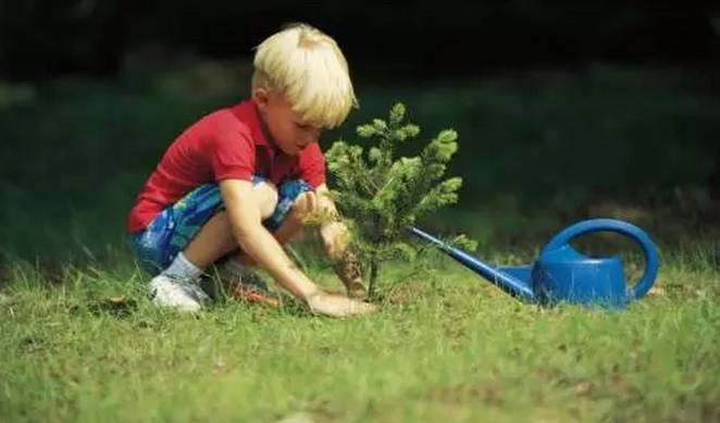 它是世界上抑郁症最多的国家,可画风明明超逗