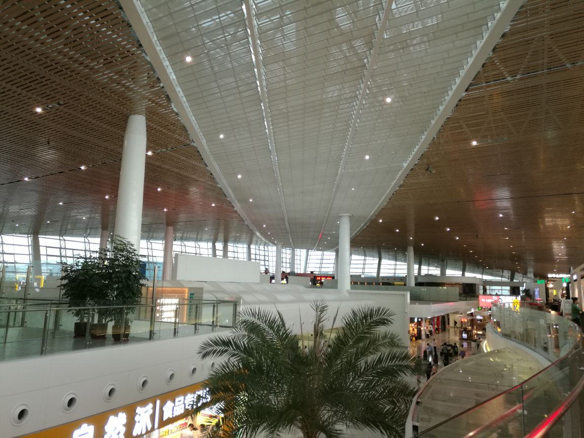2020高崎国际机场-旅游攻略-门票-地址-问答-游记点评，厦门旅游旅游景点推荐-去哪儿攻略